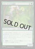 【JPN】★Foil★リス・アラナの高官/Lys Alana Dignitary [MTG_ECL_0180_U]