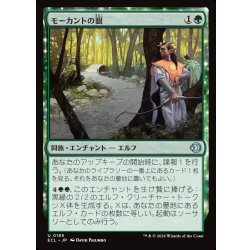 画像1: 【JPN】モーカントの眼/Morcant's Eyes [MTG_ECL_0185_U]