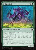 【JPN】守美者の騎兵/Safewright Cavalry [MTG_ECL_0191_C]