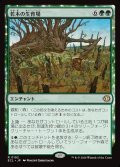 【JPN】若木の生育場/Sapling Nursery [MTG_ECL_0192_R]