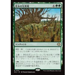 画像1: 【JPN】若木の生育場/Sapling Nursery [MTG_ECL_0192_R]