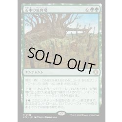 画像1: 【JPN】★Foil★若木の生育場/Sapling Nursery [MTG_ECL_0192_R]