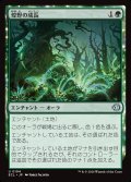 【JPN】煌野の成長/Shimmerwilds Growth [MTG_ECL_0194_U]