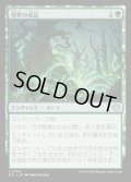 【JPN】★Foil★煌野の成長/Shimmerwilds Growth [MTG_ECL_0194_U]