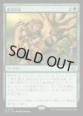 【JPN】★Foil★意気軒高/Spry and Mighty [MTG_ECL_0195_R]