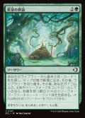 【JPN】若芽の世話/Tend the Sprigs [MTG_ECL_0197_C]