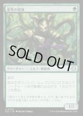 【JPN】★Foil★悪性の密使/Virulent Emissary [MTG_ECL_0202_U]