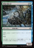 【JPN】甲殻の掴み仔/Chitinous Graspling [MTG_ECL_0211_C]