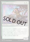 【JPN】★Foil★蝕甚化したキスキン/Eclipsed Kithkin [MTG_ECL_0220_U]