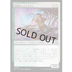 画像1: 【JPN】★Foil★蝕甚化したキスキン/Eclipsed Kithkin [MTG_ECL_0220_U]