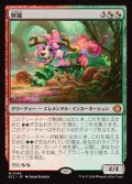【JPN】鮮麗/Vibrance [MTG_ECL_0249_M]