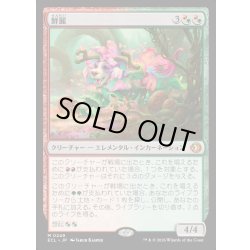 画像1: 【JPN】★Foil★鮮麗/Vibrance [MTG_ECL_0249_M]