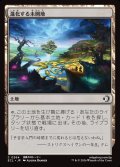 【JPN】進化する未開地/Evolving Wilds [MTG_ECL_0264_C]