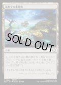【JPN】★Foil★進化する未開地/Evolving Wilds [MTG_ECL_0264_C]