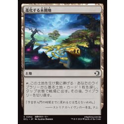 画像1: 【JPN】進化する未開地/Evolving Wilds [MTG_ECL_0264_C]