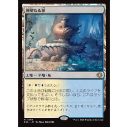画像1: 【JPN】神聖なる泉/Hallowed Fountain [MTG_ECL_0265_R]