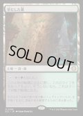 【JPN】★Foil★草むした墓/Overgrown Tomb [MTG_ECL_0266_R]