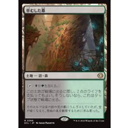画像1: 【JPN】草むした墓/Overgrown Tomb [MTG_ECL_0266_R]