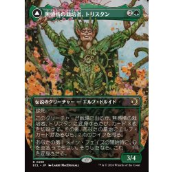 画像1: 【JPN】無感情の栽培者、トリスタン/改悛の淘汰者、トリスタン/Trystan, Callous Cultivator/Trystan, Penitent Culler[MTG_ECL_0291_R]