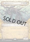 【JPN】時に囲まれしドラン/Doran, Besieged by Time [MTG_ECL_0334_R]