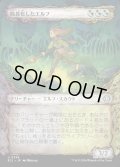 【JPN】蝕甚化したエルフ/Eclipsed Elf [MTG_ECL_0336_U]