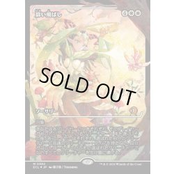 画像1: 【JPN】★Foil★篩い飛ばし/Winnowing [MTG_ECL_0382_M]