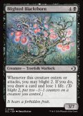 【ENG】立ち枯れた黒茨/Blighted Blackthorn [MTG_ECL_0090_C]
