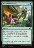 【ENG】完全の確立/Assert Perfection [MTG_ECL_0164_C]