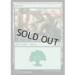 画像1: 【ENG】★Foil★森/Forest [MTG_ECL_0273_C]