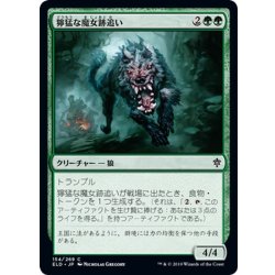 画像1: 【JPN】獰猛な魔女跡追い/Fierce Witchstalker[MTG_ELD_154C]