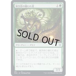 画像1: 【JPN】棘茨砦の嫌われ者/Bramblefort Fink?[MTG_ELD_311U]
