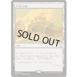 画像1: 【JPN】不毛の大地/Wasteland[MTG_EMA_248R]