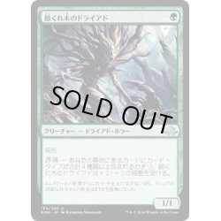 画像1: 【JPN】節くれ木のドライアド/Gnarlwood Dryad[MTG_EMN_159U]