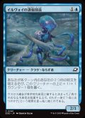【JPN】イルヴォイの諜報部員/Illvoi Operative[MTG_EOE_0061_C]