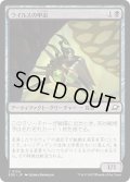 【JPN】ウイルスの甲虫/Virus Beetle[MTG_EOE_0124_C]