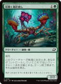 【JPN】花開く毒針刺し/Blooming Stinger[MTG_EOE_0174_C]