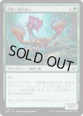 【JPN】花開く毒針刺し/Blooming Stinger[MTG_EOE_0174_C]