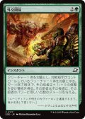 【JPN】外交関係/Diplomatic Relations[MTG_EOE_0177_C]