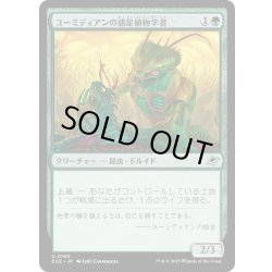 画像1: 【JPN】ユーミディアンの惑星植物学者/Eumidian Terrabotanist[MTG_EOE_0180_U]