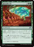【JPN】真社会性工学/Eusocial Engineering[MTG_EOE_0181_U]