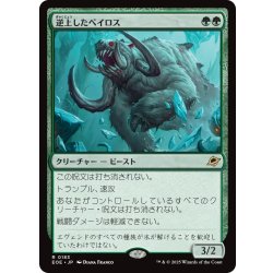 画像1: 【JPN】★Foil★逆上したベイロス/Frenzied Baloth[MTG_EOE_0183_R]