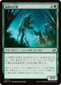 【JPN】菌類の巨獣/Fungal Colossus[MTG_EOE_0184_C]
