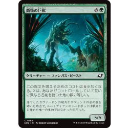 画像1: 【JPN】菌類の巨獣/Fungal Colossus[MTG_EOE_0184_C]