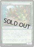 【JPN】血液共生のダニ/Hemosymbic Mite[MTG_EOE_0190_U]