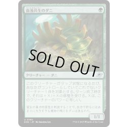 画像1: 【JPN】血液共生のダニ/Hemosymbic Mite[MTG_EOE_0190_U]