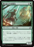 【JPN】恐れ知らずの新参虫/Intrepid Tenderfoot[MTG_EOE_0193_C]