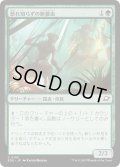 【JPN】恐れ知らずの新参虫/Intrepid Tenderfoot[MTG_EOE_0193_C]
