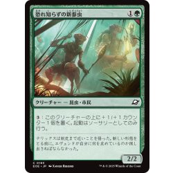 画像1: 【JPN】恐れ知らずの新参虫/Intrepid Tenderfoot[MTG_EOE_0193_C]