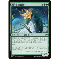 画像1: 【JPN】鞭打草の捕食者/Lashwhip Predator[MTG_EOE_0195_U]