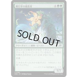 画像1: 【JPN】鞭打草の捕食者/Lashwhip Predator[MTG_EOE_0195_U]